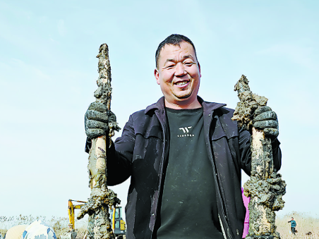  “藕”遇丰收季 泥中“掘金”忙